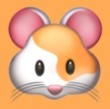 a片APPAPP应用
