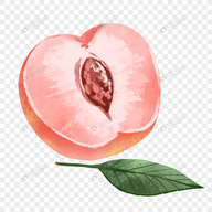 WWW,av922·COM网站APP图片